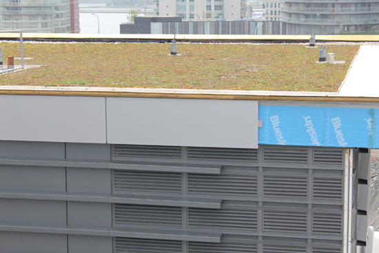 Green roof atop one of the buildings